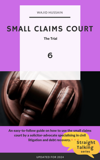 Small Claims Court 6: The Trial