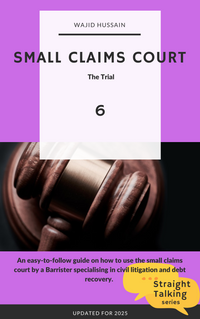 Small Claims Court 6: The Trial